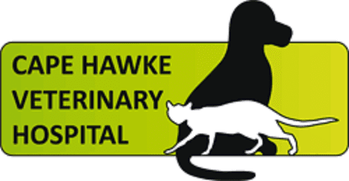 Cape clearance animal hospital